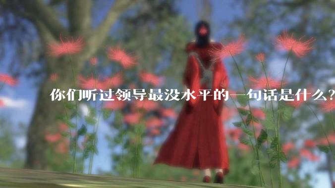 你们听过领导最没水平的一句话是什么？